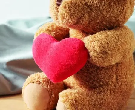 Osito de peluche corazón 23cm Ecológico Personalizado 7MO2949