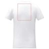 Camiseta algodón OEKO-TEX - Imagen 22