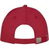 Gorra Doyle 5 paneles algodón cepillado 260 g hebilla - Imagen 29