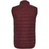 Chaleco hombre aislante poliéster 290 g - Imagen 24