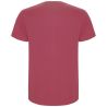 Camiseta hombre tubular cuello elastano - Imagen 131