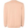 Sudadera cuello redondo unisex lavado ácido canalé - Imagen 46