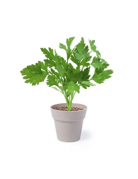 Set Macetas Personalizado Ecológico 85113