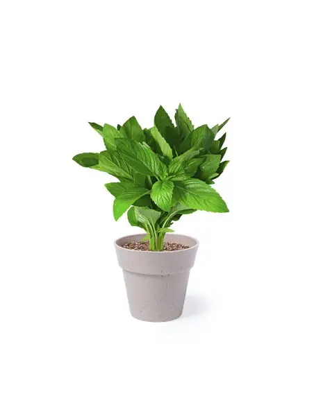 Set Macetas Personalizado Ecológico 85113