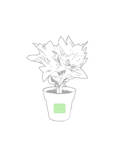 Set Macetas Personalizado Ecológico 85113