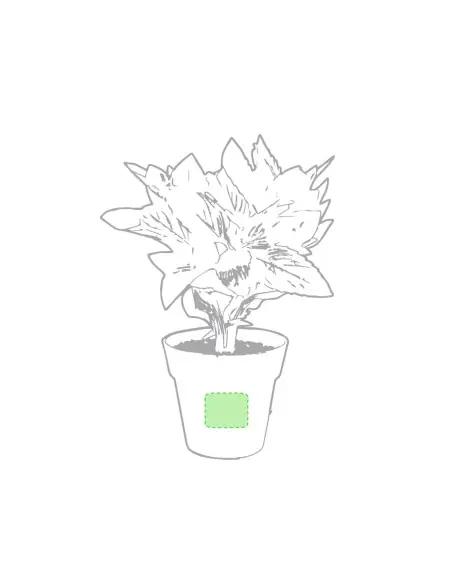 Set Macetas Personalizado Ecológico 85113