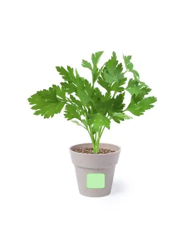 Set Macetas Personalizado Ecológico 85113