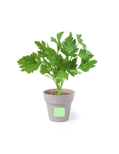 Set Macetas Personalizado Ecológico 85113