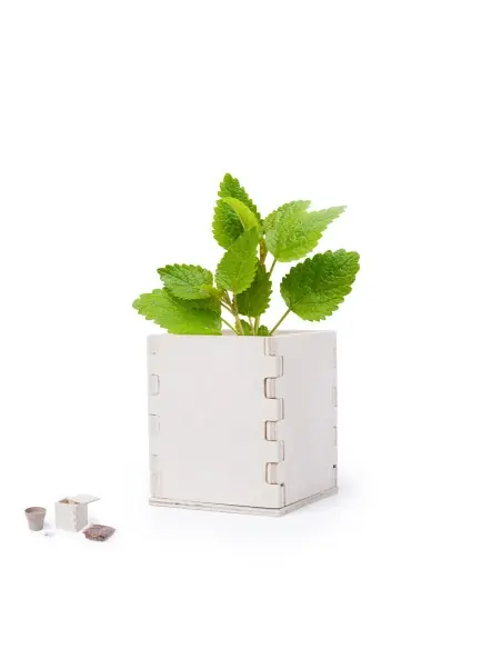 Maceta Personalizado Ecológico 86223