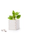 Maceta Ecológica Personalizada 86223 - Imagen 1