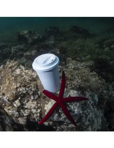 Vaso Personalizado Ecológico 86676