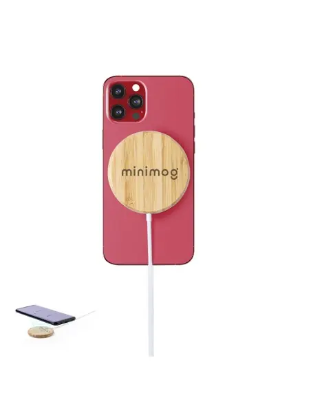 Cargador Personalizado Ecológico 86895