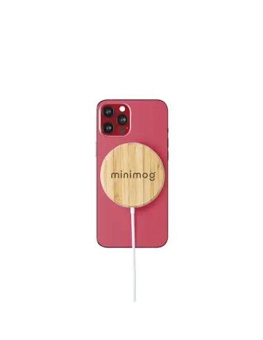 Cargador Personalizado Ecológico 86895