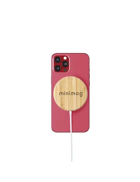 Cargador Personalizado Ecológico 86895