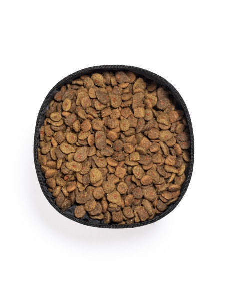 Bowl Ecológico Personalizado 81012