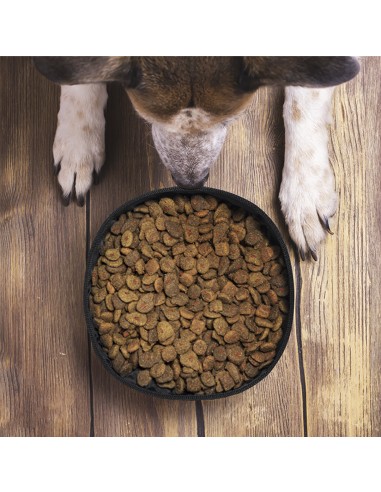 Bowl Ecológico Personalizado 81012