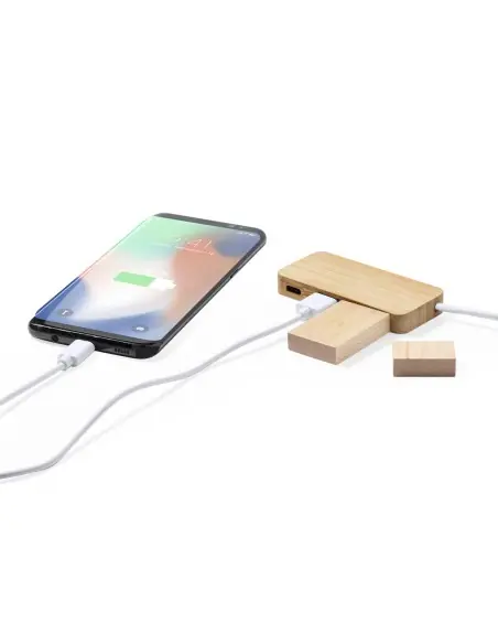 Puerto USB Personalizado Ecológico 81140