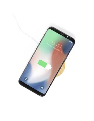 Cargador Soporte Personalizado Ecológico 81197