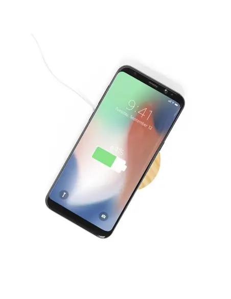 Cargador Soporte Personalizado Ecológico 81197