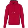 Sudadera algodón poliéster 300 g/m² con capucha - Imagen 45