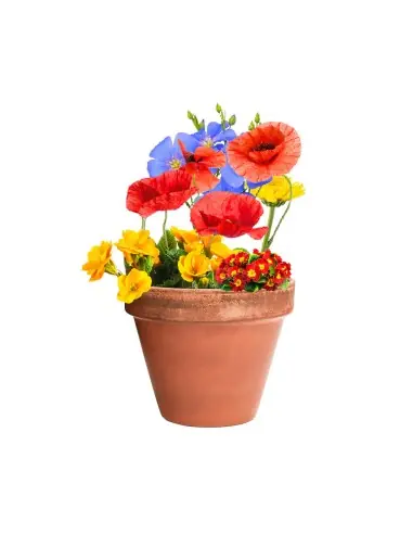 Bombón Semillas Personalizado Ecológico 82640