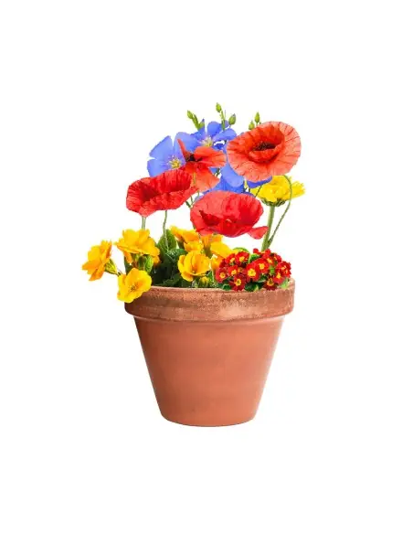 Bombón Semillas Personalizado Ecológico 82640