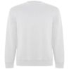 Sudadera cuello redondo unisex algodón orgánico GOTS - Imagen 37