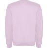 Sudadera cuello redondo 280 g - Imagen 111