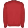 Sudadera cuello redondo infantil canalé elastano - Imagen 81