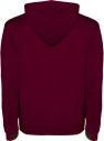 Sudadera capucha bicolor doble tejido hombre canguro - Imagen 159