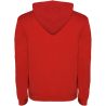 Sudadera capucha bicolor doble tejido hombre canguro - Imagen 166