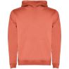 Sudadera infantil capucha 280 g - Imagen 41