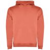 Sudadera infantil capucha 280 g - Imagen 42