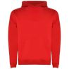 Sudadera infantil capucha 280 g - Imagen 62