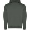 Sudadera infantil capucha 280 g - Imagen 153