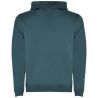 Sudadera infantil capucha 280 g - Imagen 166
