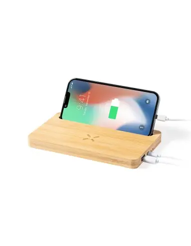 Cargador Organizador Personalizado Ecológico 81438