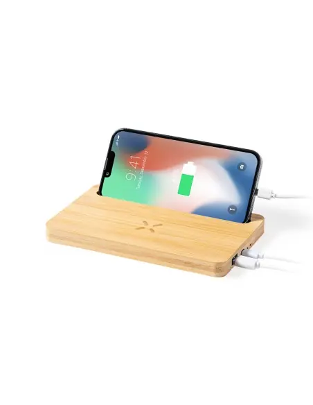 Cargador Organizador Personalizado Ecológico 81438