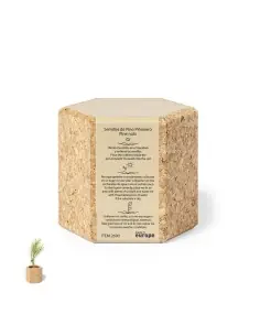 Maceta Personalizado Ecológico 82690