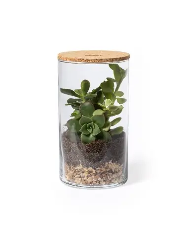 Terrarium Personalizado Ecológico 82692