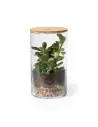 Terrarium Personalizado Ecológico 82692 - Imagen 3
