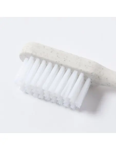 Cepillo Dientes Personalizado Ecológico 81639