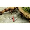 Victorinox Personalizado 10262883 - Imagen 7