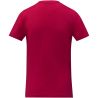 Camiseta algodón OEKO-TEX - Imagen 38