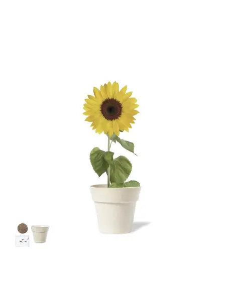 Maceta Personalizado Ecológico 81929