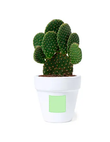 Maceta Personalizado Ecológico 81931