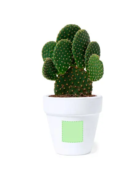 Maceta Personalizado Ecológico 81931