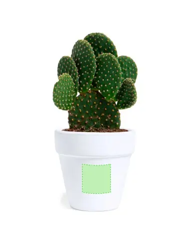 Maceta Personalizado Ecológico 81931