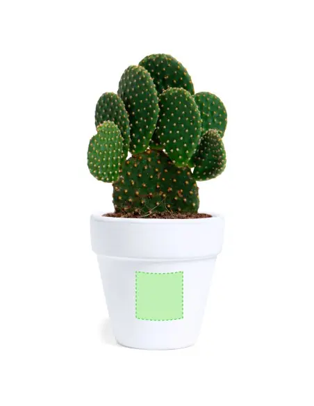 Maceta Personalizado Ecológico 81931