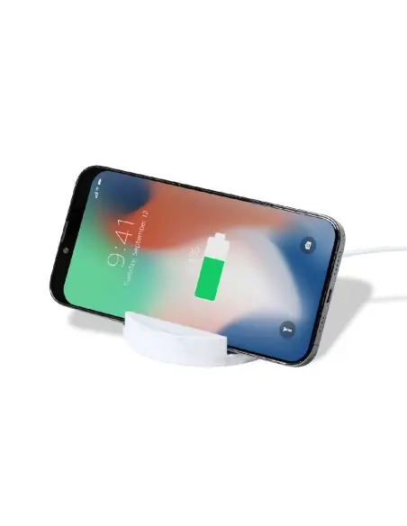 Soporte Cargador Personalizado Ecológico 81980